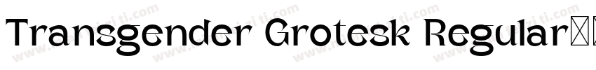 Transgender Grotesk Regular字体转换